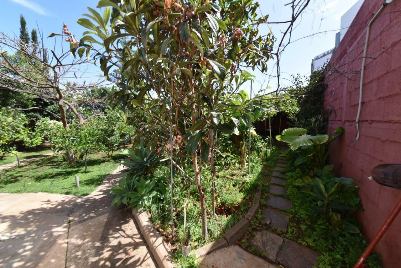 Vila Casa El Tonelero Con Jardin Y Piscina Privada Gáldar Exteriér fotografie